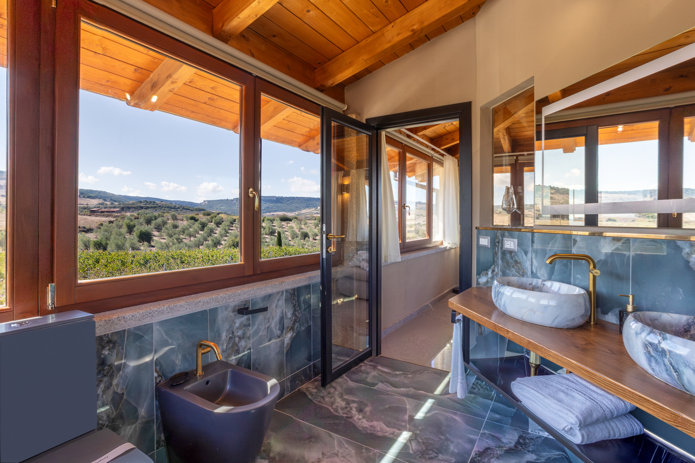 Vista dall'alto suite e vigneto